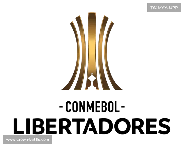 南美解放者杯科皮亚波主场力克强敌