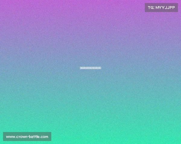 湖人队表现抢眼，全场精彩不断