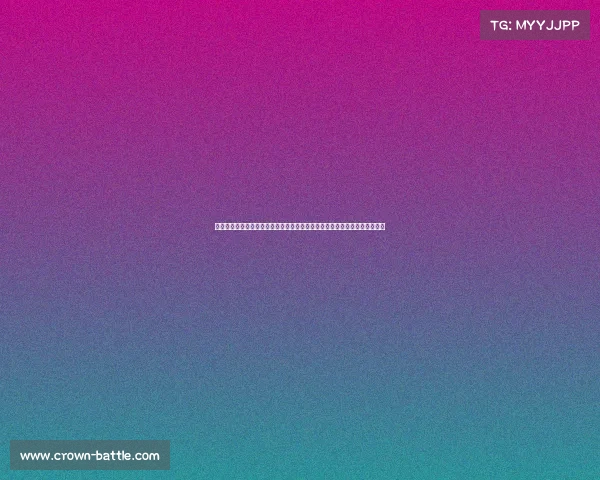 没有对比就没有伤害：洞庭湖团州垸堤坝缺口与益阳镇口的防洪隐患对比分析